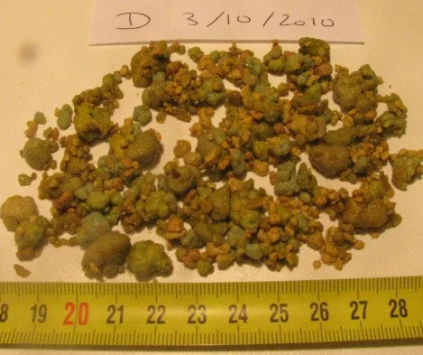 liver-cleanse-photo-2010-10-03 Liver cleanse photo 2010-10-03