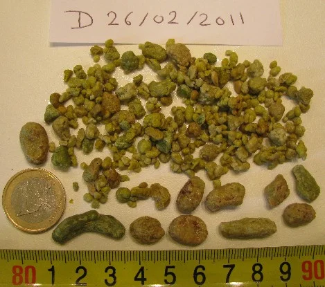 liver-cleanse-photo-2011-02-26 Liver cleanse photo 2011_02_26